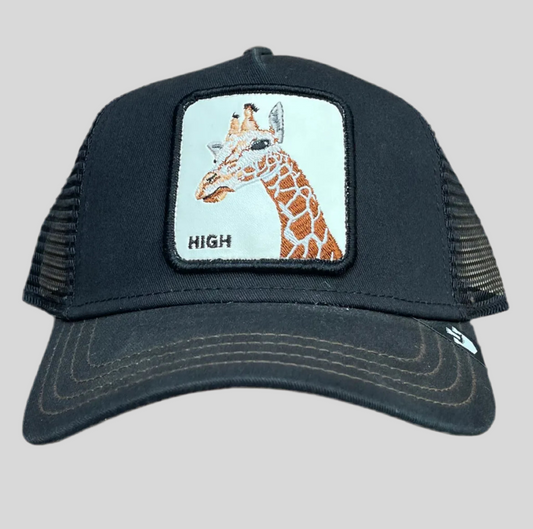Gorra Goorin Bros GB38