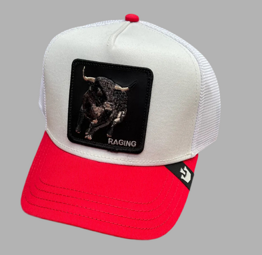 Gorra Goorin Bros GB10