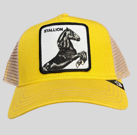 Gorra Goorin Bros GB32