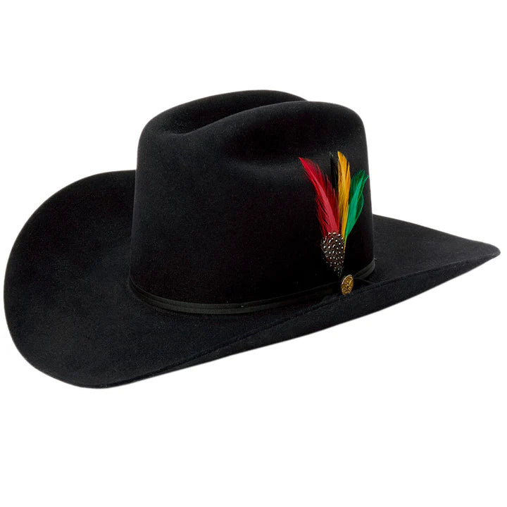 Texana Stetson Ranchera  6x black 160th edición