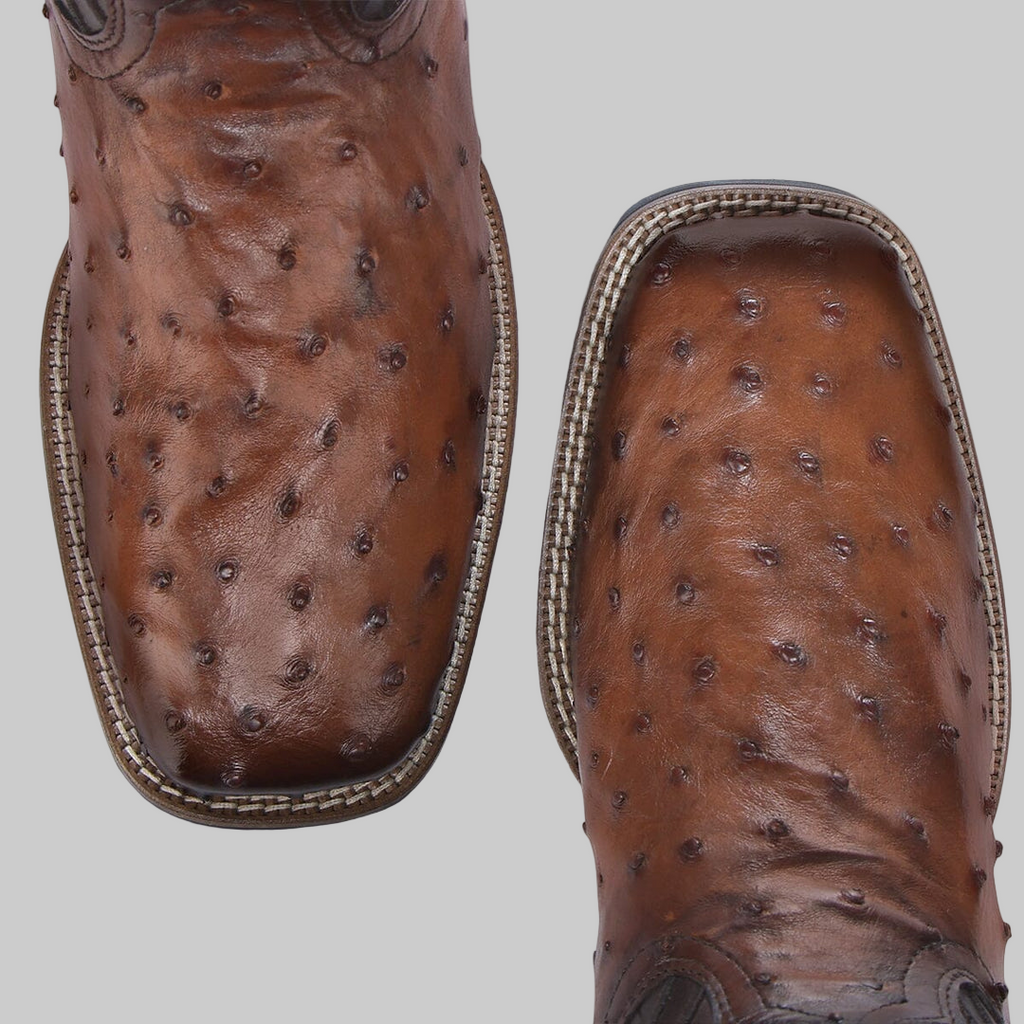 Bota de avestruz Brandy #3Z2SA1