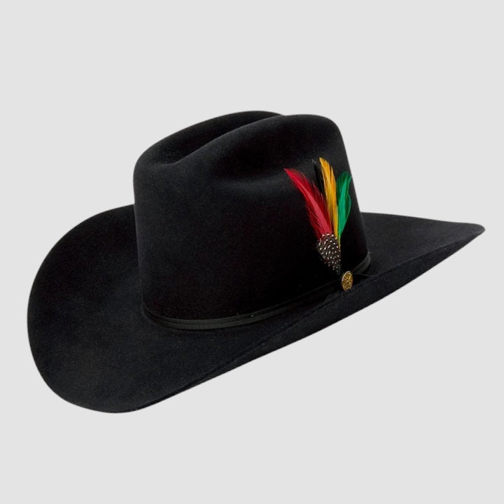 Texana Stetson Ranchera  6x black 160th edición