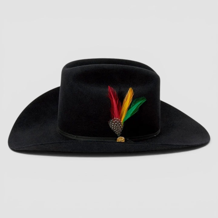Texana Stetson Ranchera  6x black 160th edición