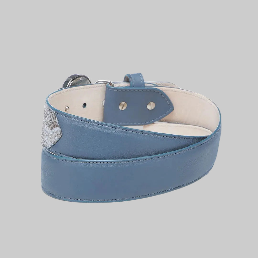 Cinto Cuadra Pitón Belly Baby Blue CDA32PM