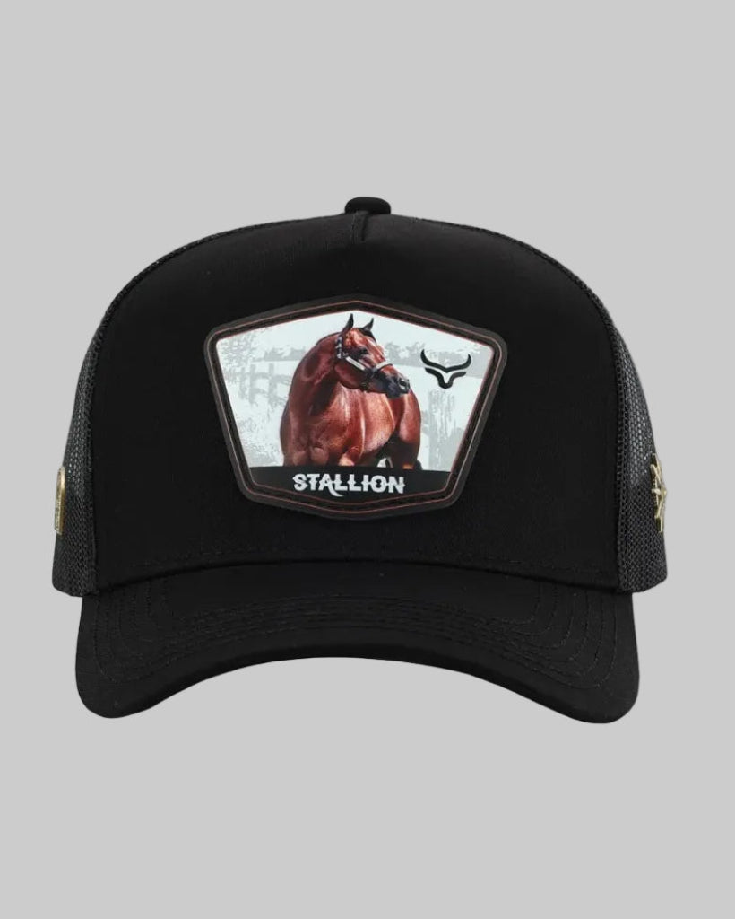 Gorra Ranch & Corral Stallion